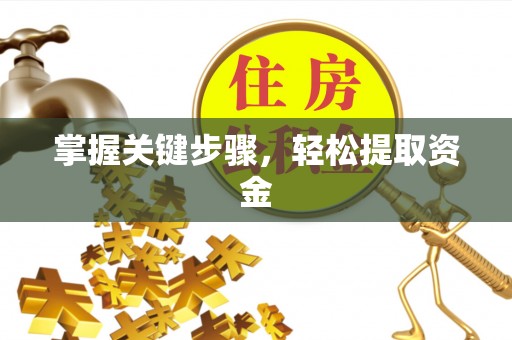 长滨掌握关键步骤，轻松提取资金