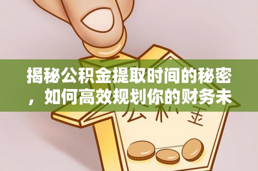 长滨揭秘公积金提取时间的秘密，如何高效规划你的财务未来