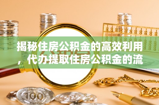 长滨揭秘住房公积金的高效利用，代办提取住房公积金的流程与技巧