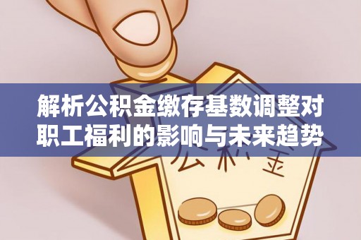 长滨解析公积金缴存基数调整对职工福利的影响与未来趋势
