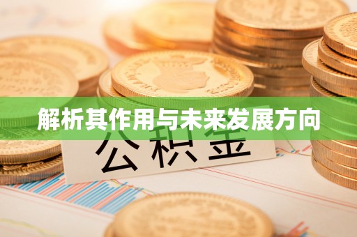 长滨解析其作用与未来发展方向