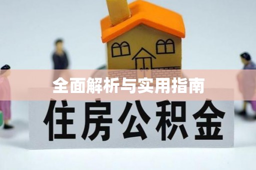 长滨全面解析与实用指南